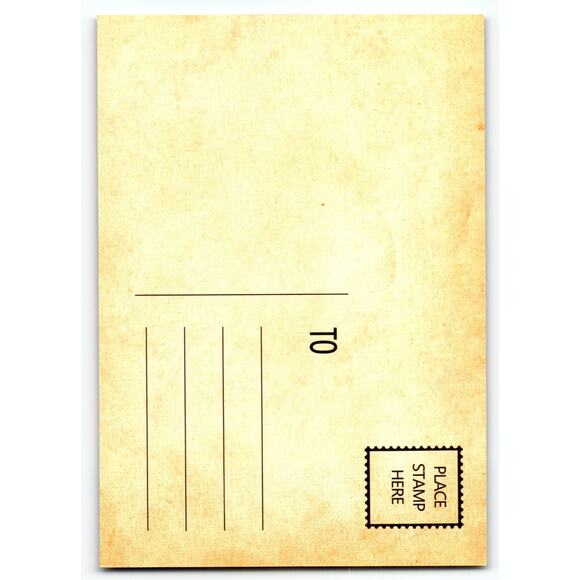 Vintage Halloween Postcard Little Witch with Black Cat Photochrome 5.5x4 - Picture 2 of 2